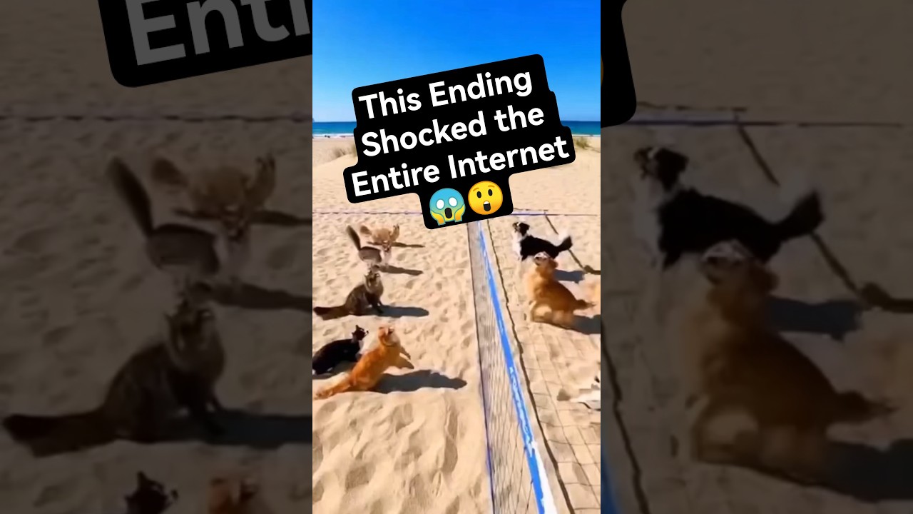 This Ending Shocked the Entire Internet! Unexpected Twist 