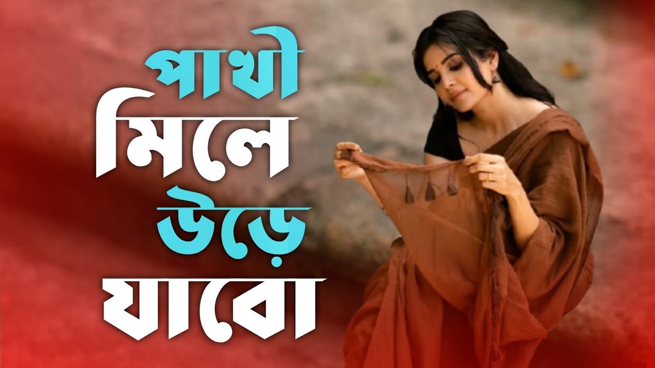 পাখী মিলে উড়ে যাবো | Pakhi mile ure jabo | New bangla sad song | notun bangla dukkher gaan