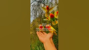 حالات واتس اب قران ❤ تلاوة خاشعة 💙Quran Status 💜 اية قرانية قصيره 💚 ستوريات انستا