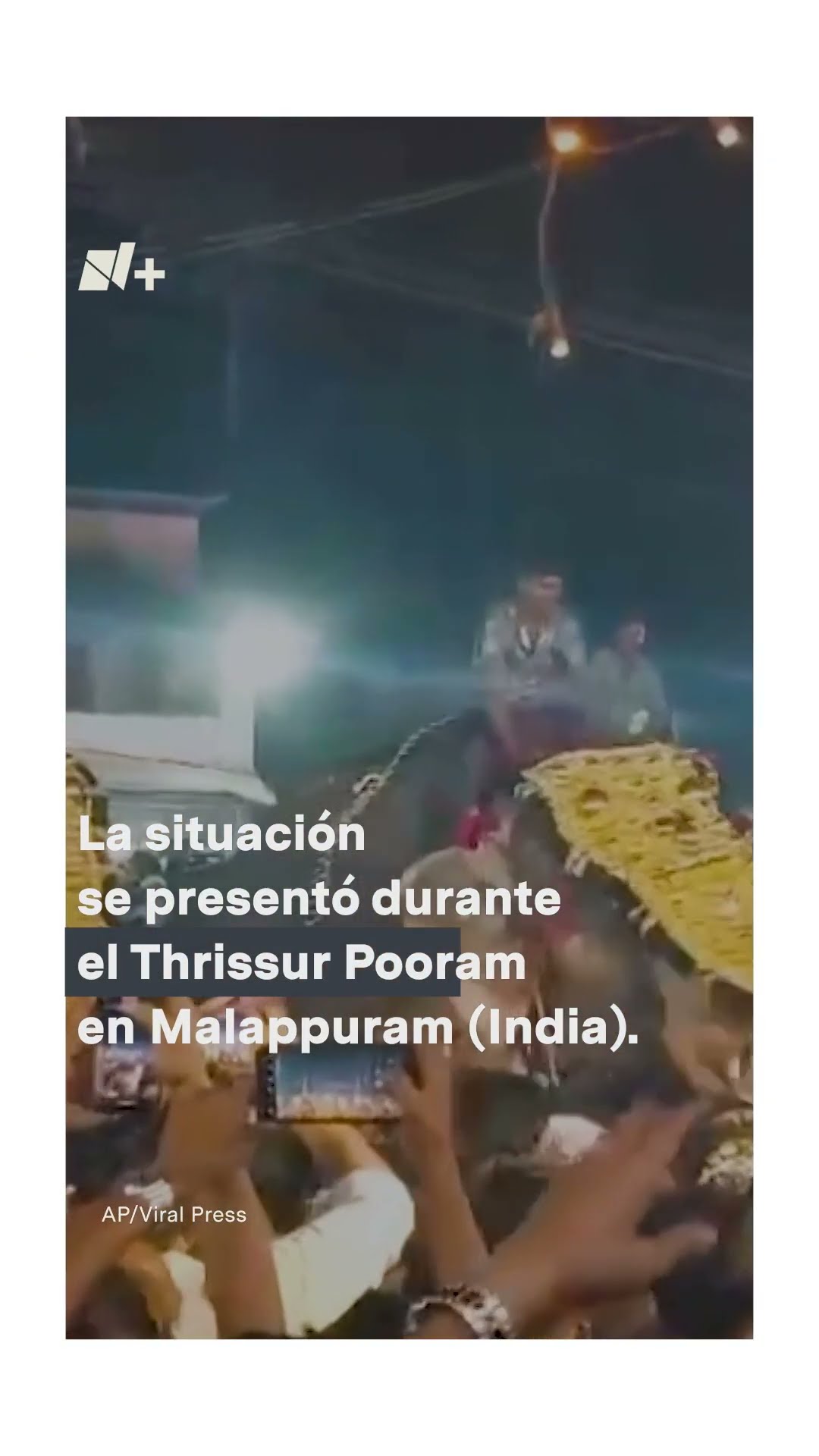 Elefante lesiona a 24 personas en festividad religiosa - N+ #Shorts