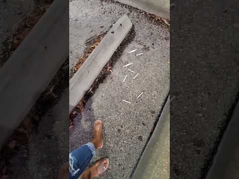 cigarette CRUSHING at the car lot #asmr #shorts #feet #crushing #flats #heels #grinding #stumping