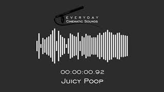 Juicy Poop | HQ Sound Effect Resimi