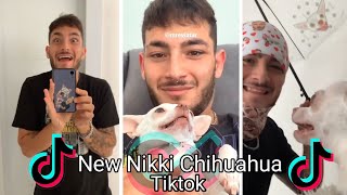 Nikki the chihuahua dog compilation #4। Fanny chihuahua TV