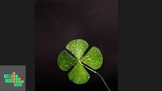 Download Lagu James Hype   Good Luck   VIP Remix MP3