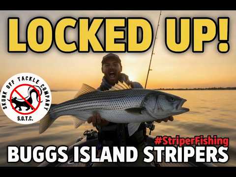 Getting Locked UP on Buggs Island Stripers #skunkofftackle #striperfishing #livebaitfishing
