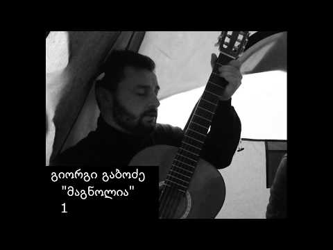 მაგნოლია | გიორგი გაბოძე / magnolia | giorgi gabodze