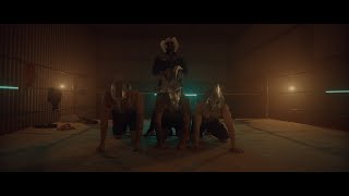 Los Madafakers Mis Tres Animales Official Video