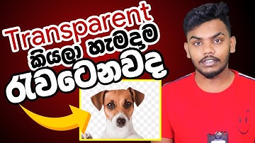 Finding transparent images properly (No background images)