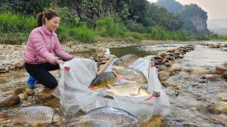 The young girl's superb fishing skills caught a large haul of fish and sold them.