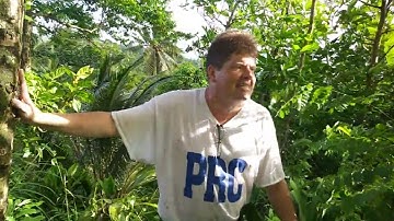 Dr. Joel Klenck, Origin of Malaeloa, Olo or Fortification, Second Vaega or Tier