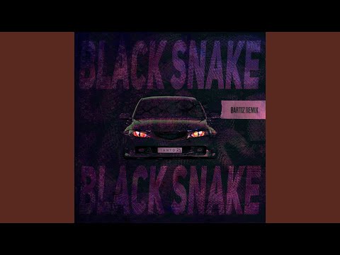 Tanto, BartiZ - Black Snake (BartiZ Remix)