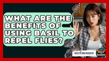 What Are The Benefits Of Using Basil To Repel Flies? - Insects and Invaders