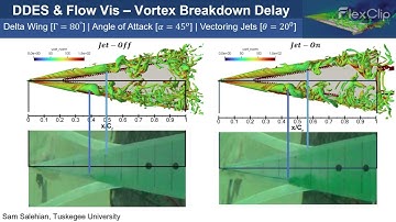 Seyyed Saman - Delta Wing Vectoring - 2025 Flow Visualization Showcase