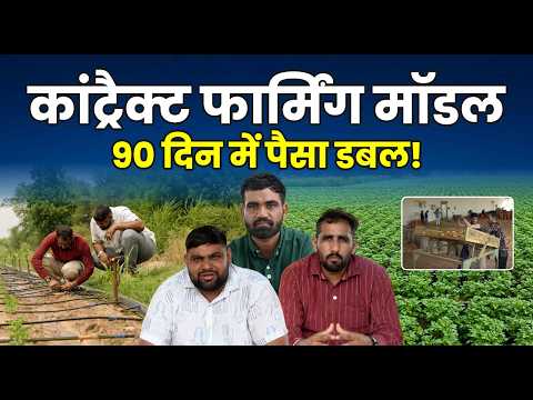 Processing Grade आलू की कांट्रैक्ट फार्मिंग से 90 दिन में डबल रुपया कमाते हैं गुजरात के ये किसान