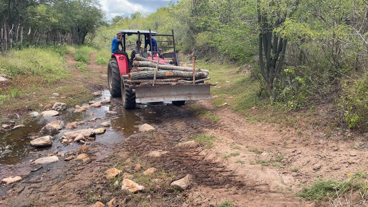 O trator MF traçado foi pegar estaca no meio da mata cheia de morro