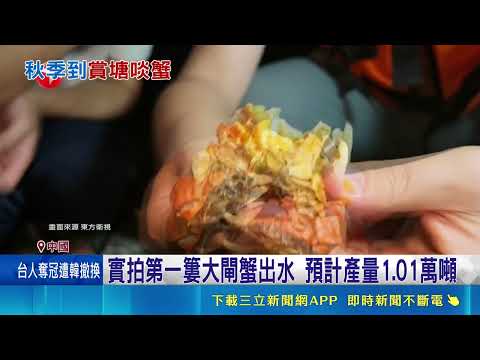 Yangcheng Lake Hairy Crab Season Begins with Over 10,000 Tons Expected! Qiantang River Tidal Bore...