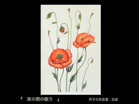 束の間の眠り 芥子の花言葉 忘却 Youtube