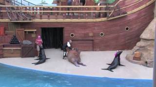 Seaworld (HD) Orlando Florida 2009
