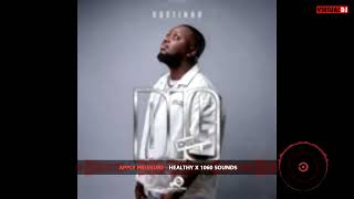 Dustinho's Big Deep Album Mix || Healthy Mix _1060_ Sounds, SKYF || mixed by Nkosi King Dee || 2026 