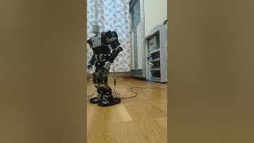 Kondo KHR-3HV with 22 servos (some basic motions)