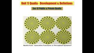 Sec 6 Public & Private Qualia