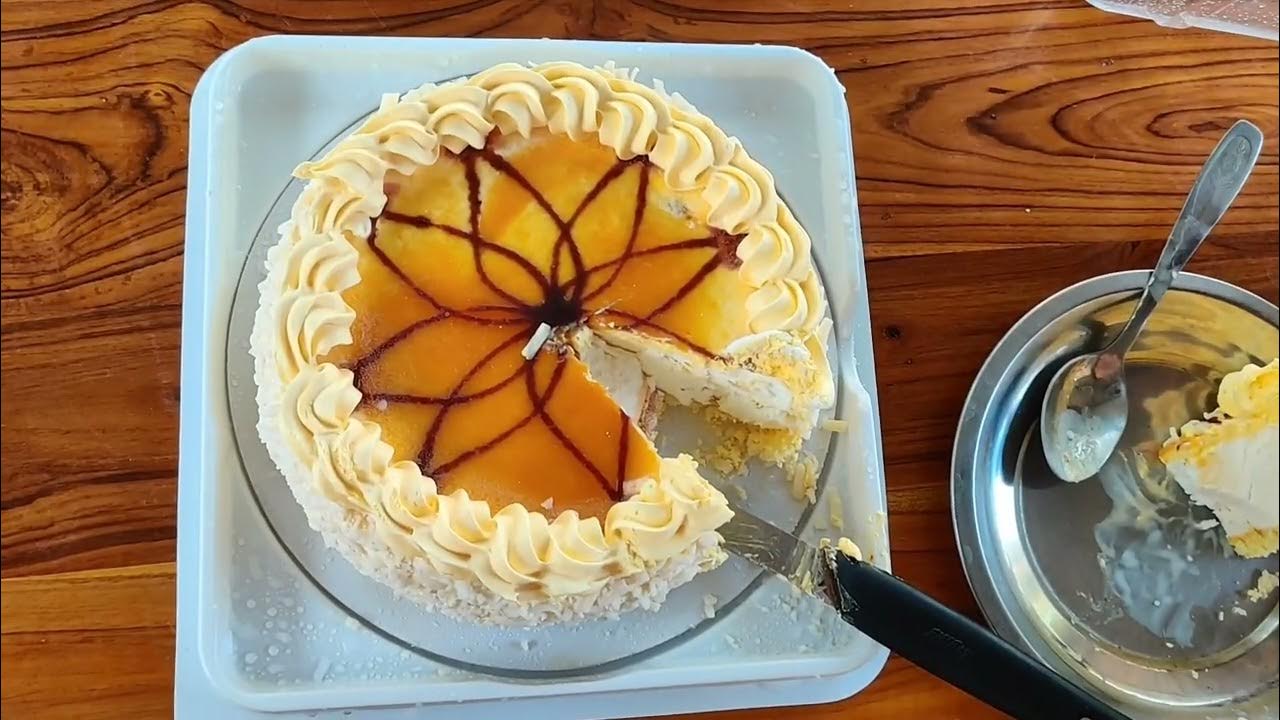 hatsun hap daily hap daily ice cream cakehap daily mango and lychee