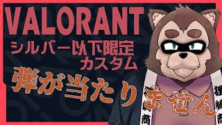 【Valorantカスタム】シルバー以下限定カスタム！
