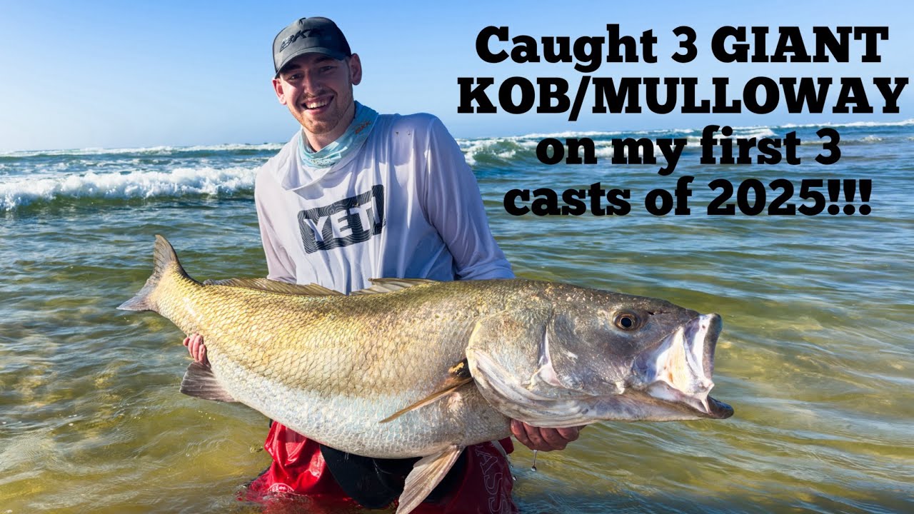 Fishing for GIANT KOB / MULLOWAY with LIVE MULLETS. I caught 3 GIANTS with my first 3 casts!