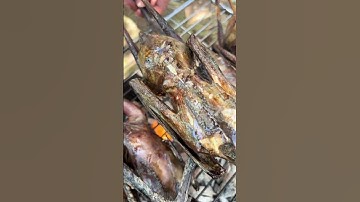 Chiều lai rai mòi nướng thật tuyệt vời còn gì bằng nữa chiến hữu ơi lụm