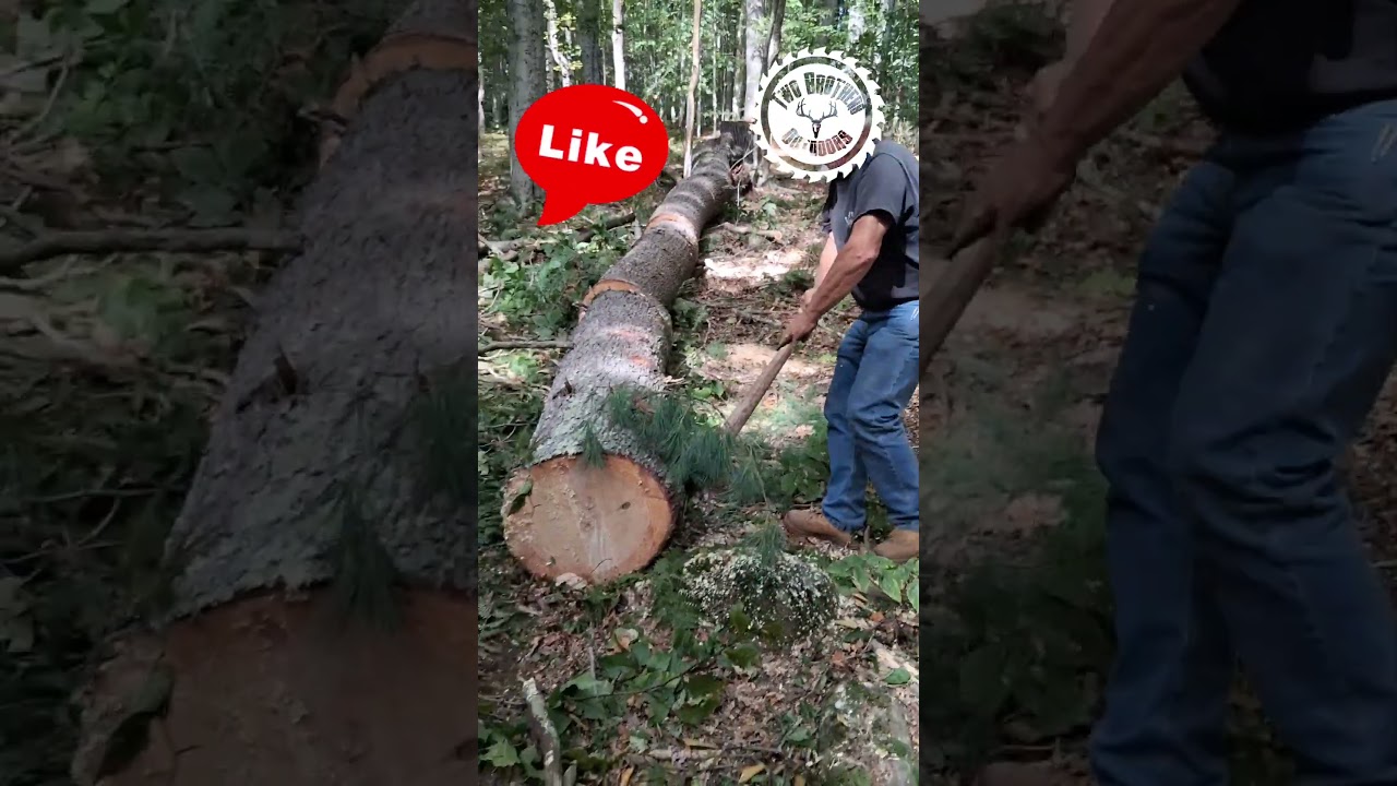 Old school logging!