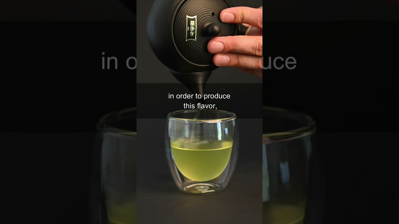 Brewing Green Tea with Mr. Sakamoto 