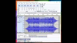 Famous Audacity Screencast Net Worth