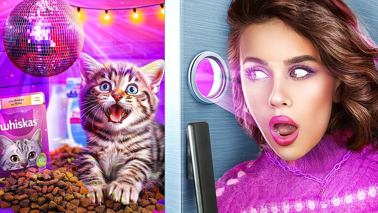 Построила секретную комнату, чтобы спрятать кота от родителей!