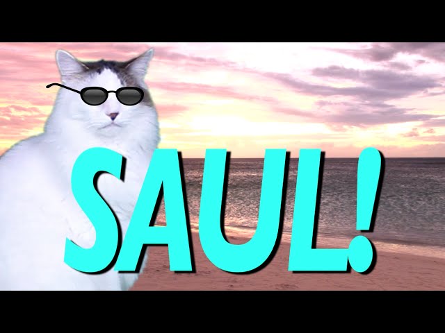 HAPPY BIRTHDAY SAUL! - EPIC CAT Happy Birthday Song