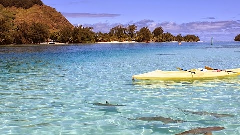 Brawlhalla 1 v 2 hard bots