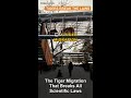 The Tiger Migration That Breaks All Scientific Laws