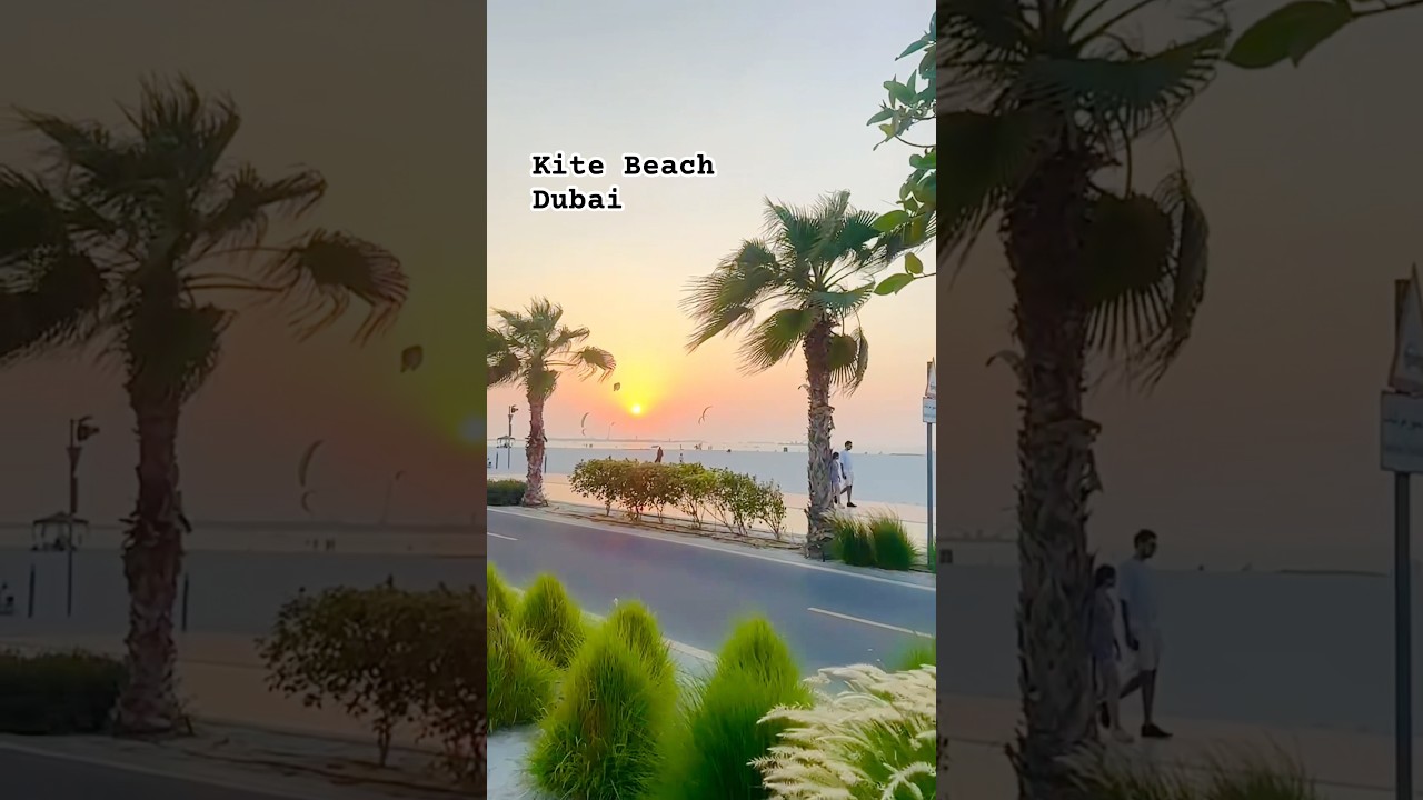 Kite Beach Dubai | Лучшее место для уикенда в Дубае #dubaibeach #beachvibes #shorts