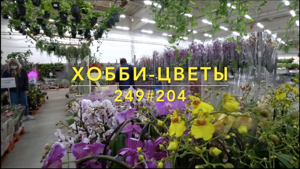 Магазин Цветов Флоревиль Москва