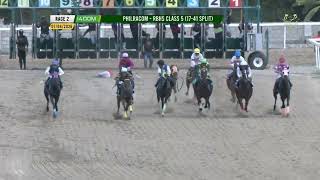 RACE 2 RBHS CLASS 5 17 41 SPLIT 1400m JULY 4 2026