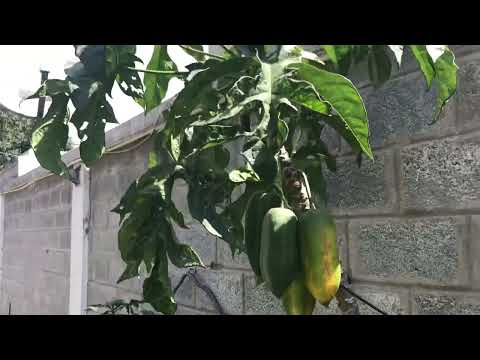 05DEC22- The Ecuador