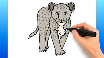 How To Draw A Snow Leopard (Easy Drawing Tutorial)