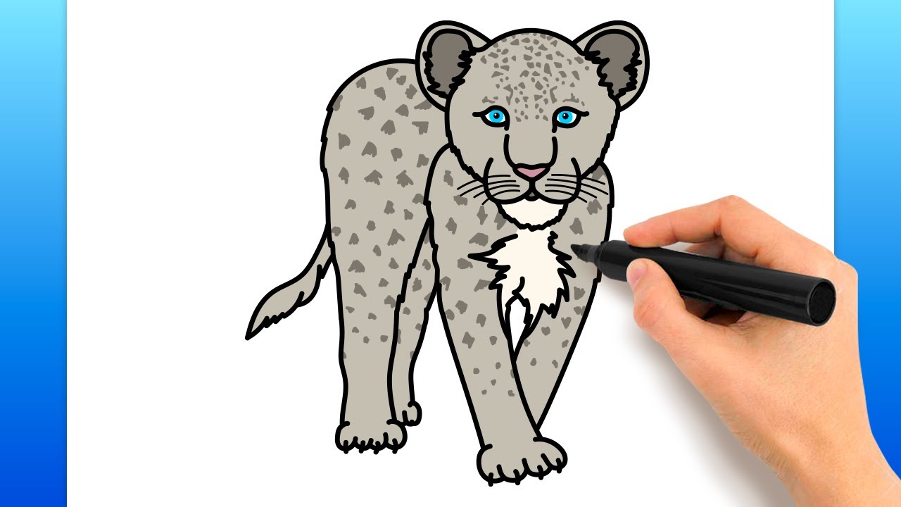 How To Draw A Snow Leopard Easy Drawing Tutorial YouTube Maxresdefault