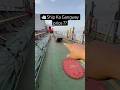 Cargo Ship Per Jo Gangway Hota Hai Uska Price Kitna Hota Hai 🚢🚢??