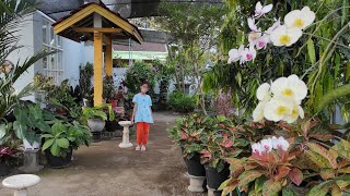 Rumah Yang Sejuk Dan Asri Dengan Tanaman Hias (Part 2)