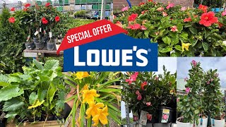 Lowe's Garden Center Half Price Sale RUN NOW! #Lowesplants #Gardening