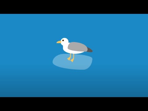 Seagull Bird Create Using CSS | Pure CSS Tutorial