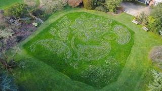 Jaw-Dropping Crocus Display Celebrates Leicesters Diverse Heritage