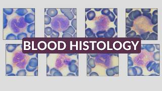 Blood Histology Made Easy - Neutrophils and Eosinophils
