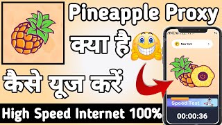 Pineapple Proxy App kaise Use kare || How to Use Pineapple Proxy App || Pineapple Proxy App screenshot 1