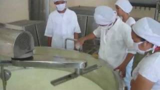 Processed Cheese Plant by ENCON Consulting Engineers